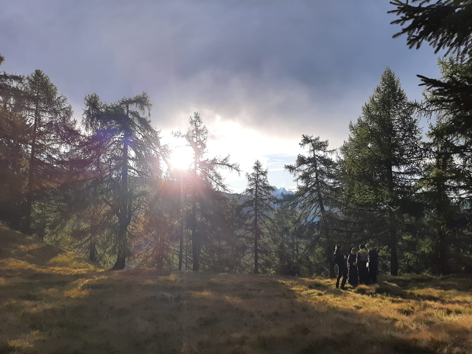 Mann im herbstlichen Schweizer Wald