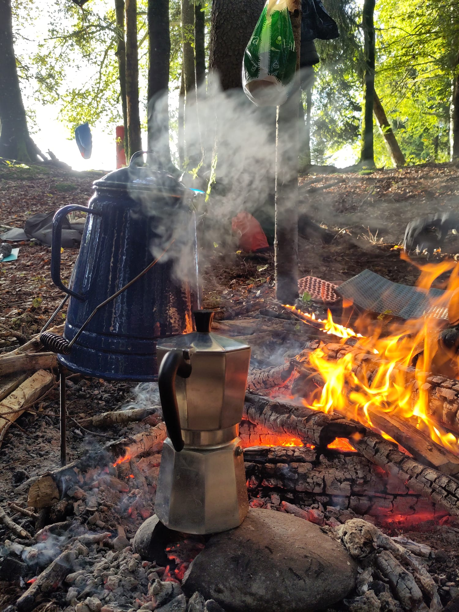 Kaffee dampft am Lagerfeuer im Wald — Morgen beim Retreat