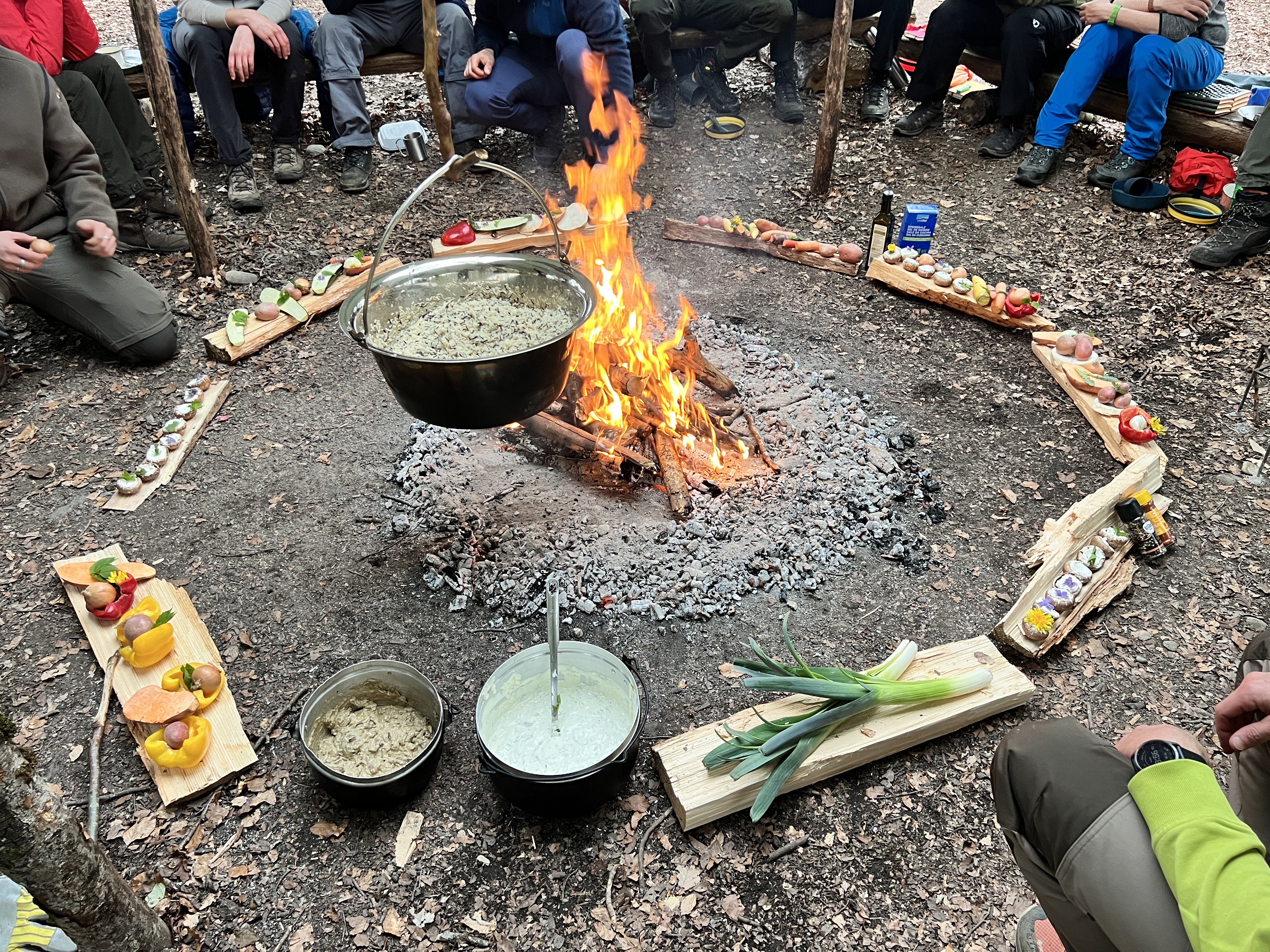 Lagerfeuer mit Kochtopf im Wald