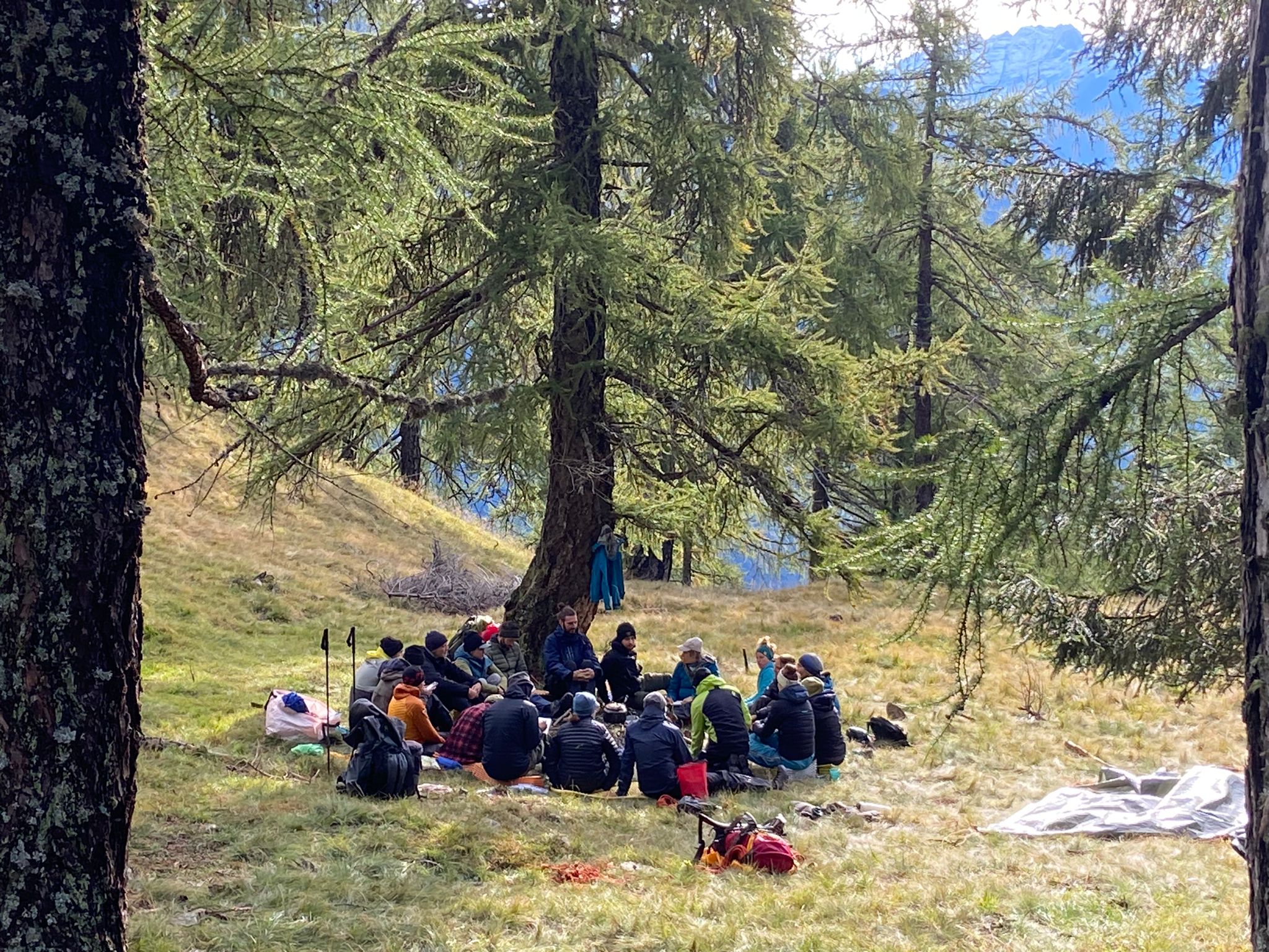 Männer sitzen im Kreis unter einem Baum im Wald